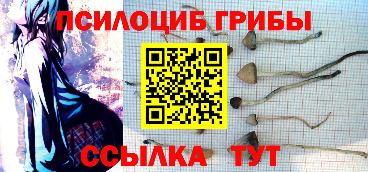 Галлюциногенные грибы Magic Shrooms  Вход с VPN  где купить наркоту  Добрянка 