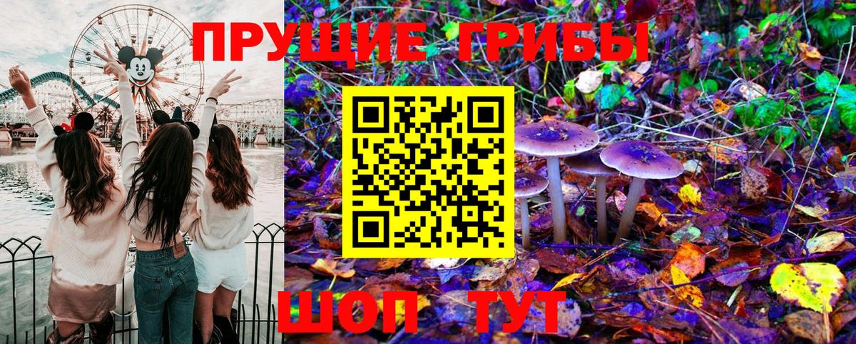 Галлюциногенные грибы Psilocybe Добрянка